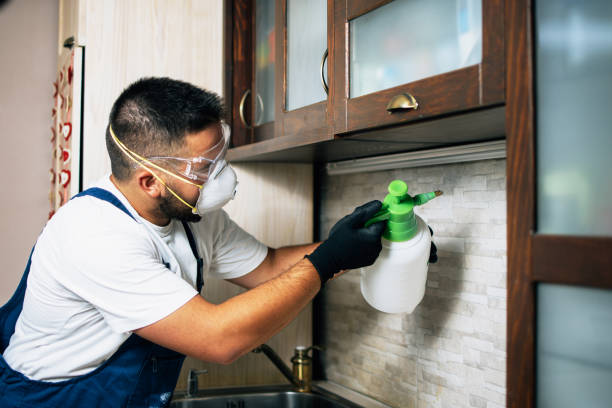 Best Residential Pest Control  in St Marys, OH