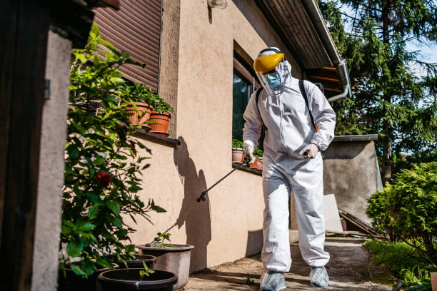 Best Spider Control Near Me  in St Marys, OH