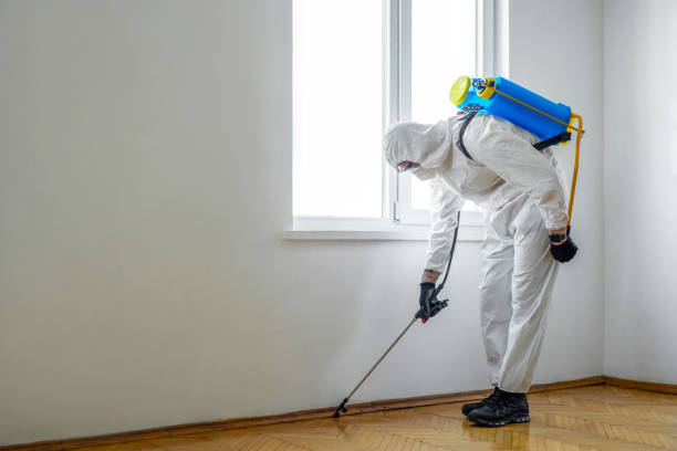 Best Exterminator Services  in St Marys, OH