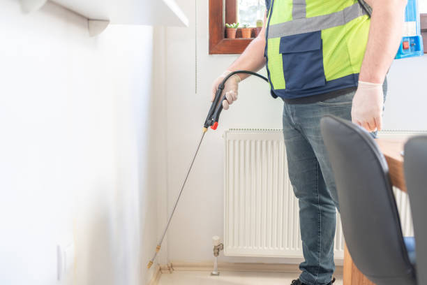 Best Pest Inspection Near Me  in St Marys, OH