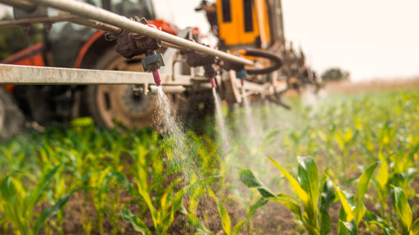 Pest Control Cost in St Marys, OH