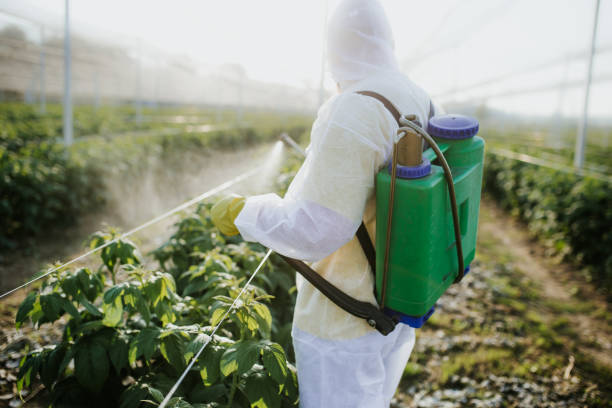 Best Local Pest Control Services  in St Marys, OH